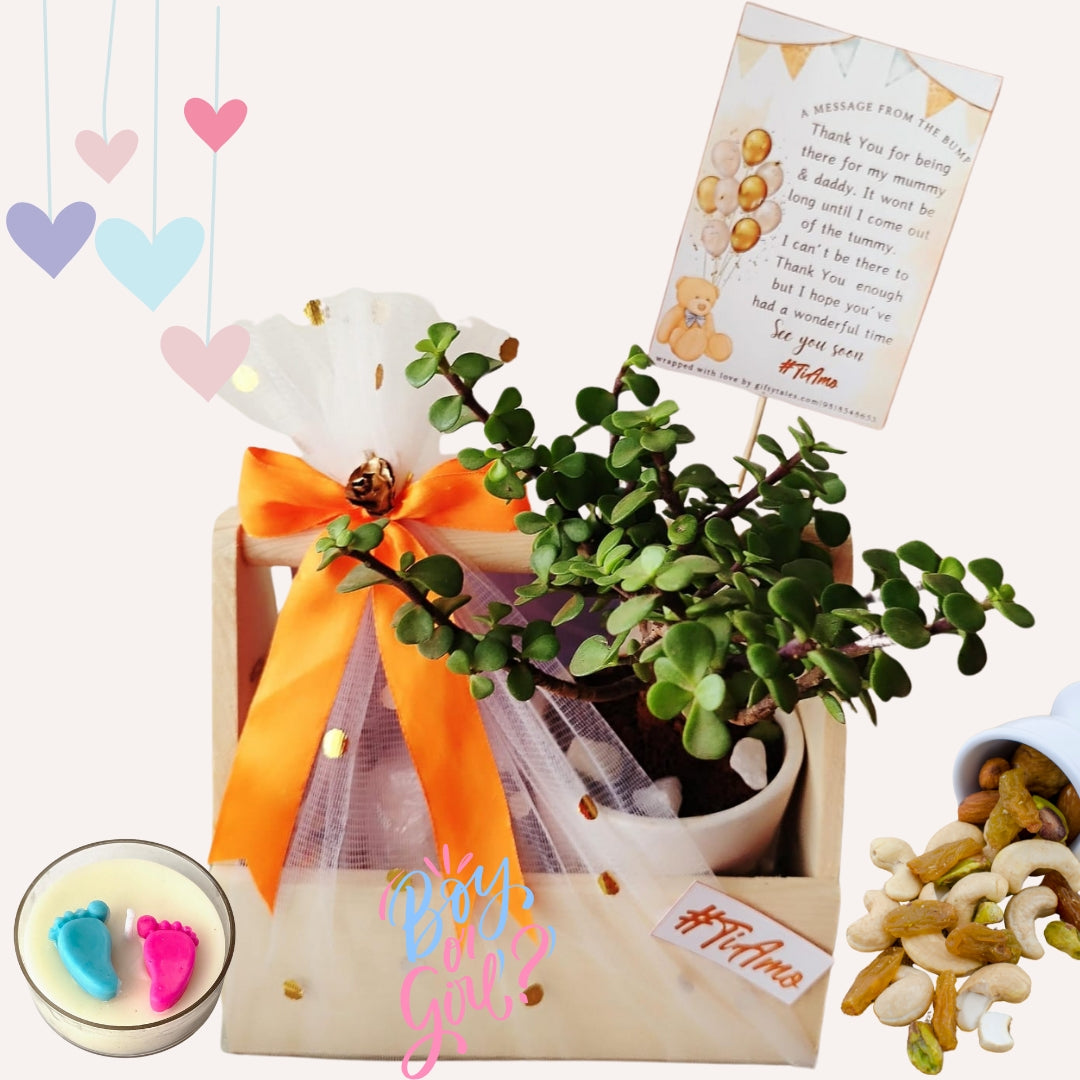 Baby Shower Return Favor Basket