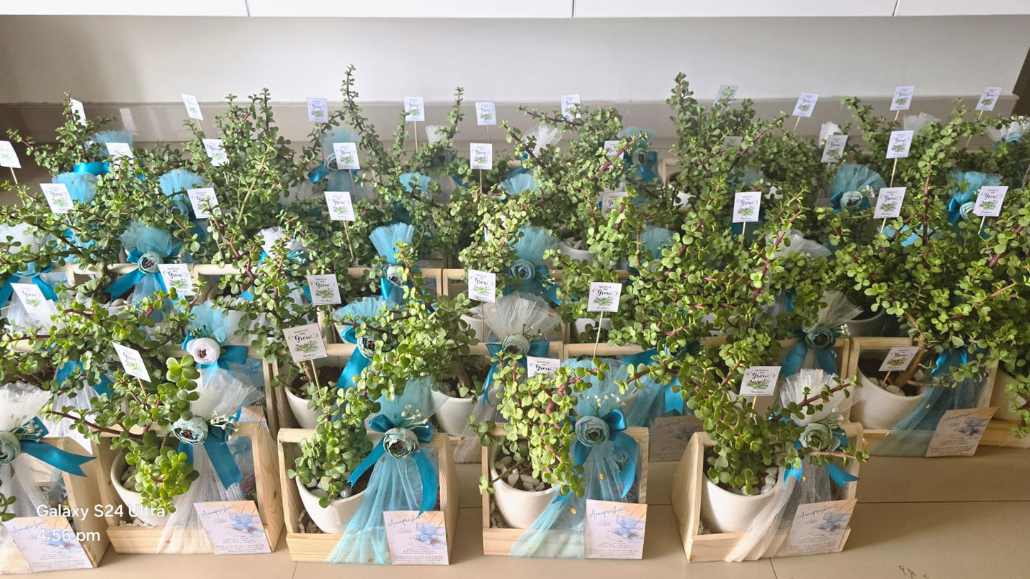 Annaprashan Hamper