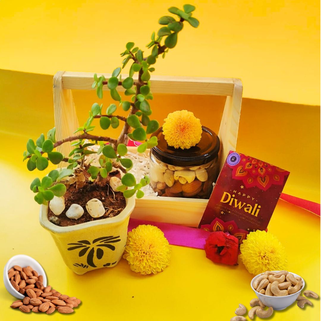 Sustainable Basket