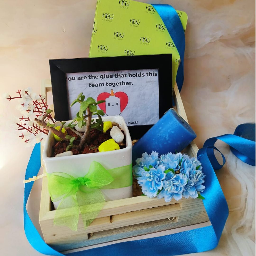 Plant Basket For Him