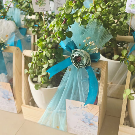 Annaprashan Hamper