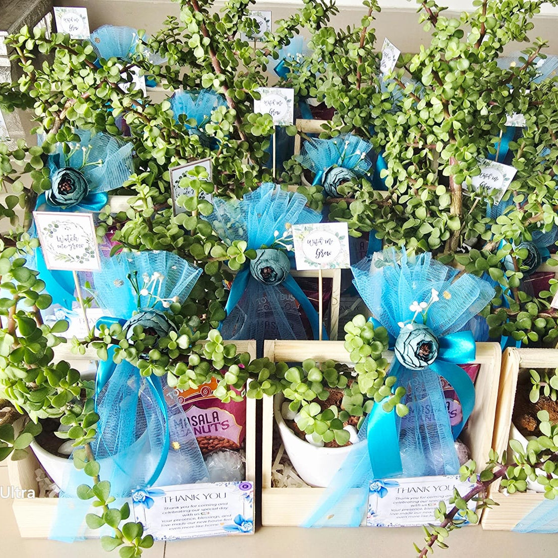 House Warming Hamper