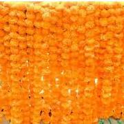 Pack of 5 Marigold Hangings